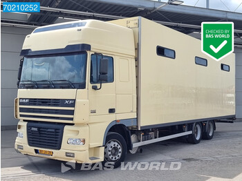 DAF XF95.380 6X2 NL-Truck Pferdetransporter Horses Euro 3 - camião de transporte de cavalos