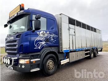 Camião transporte de gado SCANIA R480 6X2*4