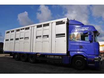 Camião transporte de gado Scania R480LB8X4*4HNB