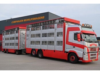 Camião transporte de gado Volvo FH 500 6X2