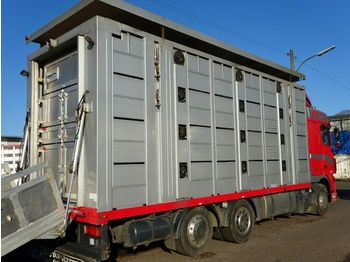 Camião transporte de gado DAF XF105/460 Spacecup Menke 4 Stock: foto 1