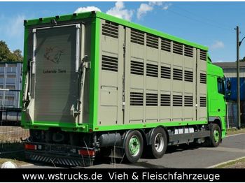 Camião transporte de gado DAF  XF 105/460 SC Menke 3 Stock Hubdach: foto 1