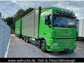 Camião transporte de gado DAF  XF 105/460 SC Menke 3 Stock Hubdach: foto 1