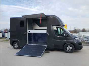 Camião transporte de gado novo Fiat Böckmann Compact L Stall LKW: foto 1