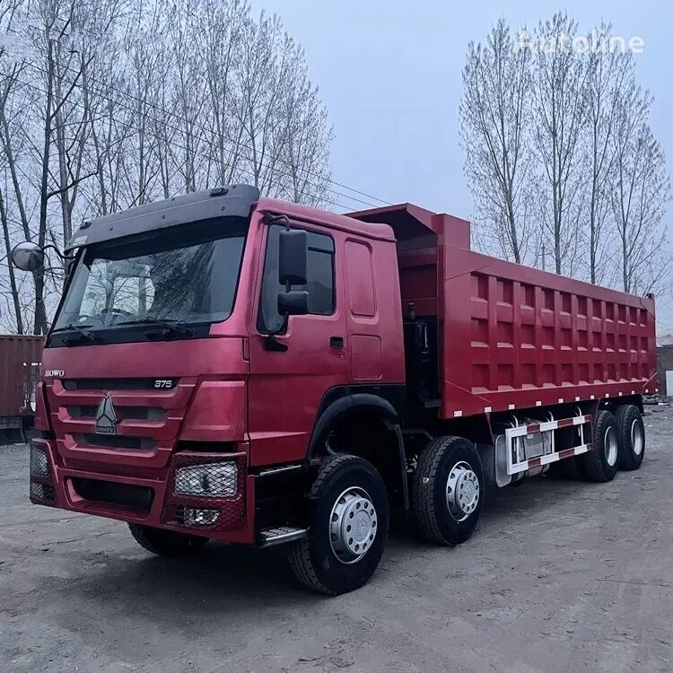 Camião basculante HOWO 12 wheels Sinotruk dumper China tipper lorry truck: foto 2