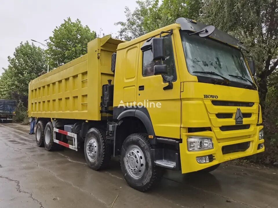 Camião basculante HOWO Sinotruk 8x4 drive 12 wheels tipper lorry dumper: foto 3