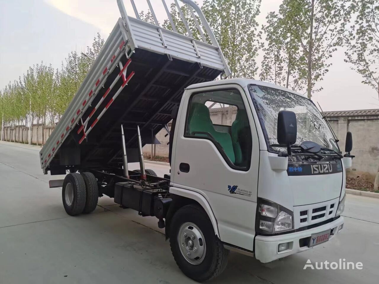 Camião basculante ISUZU 4X2 drive Japanese light tipper truck dumper: foto 4
