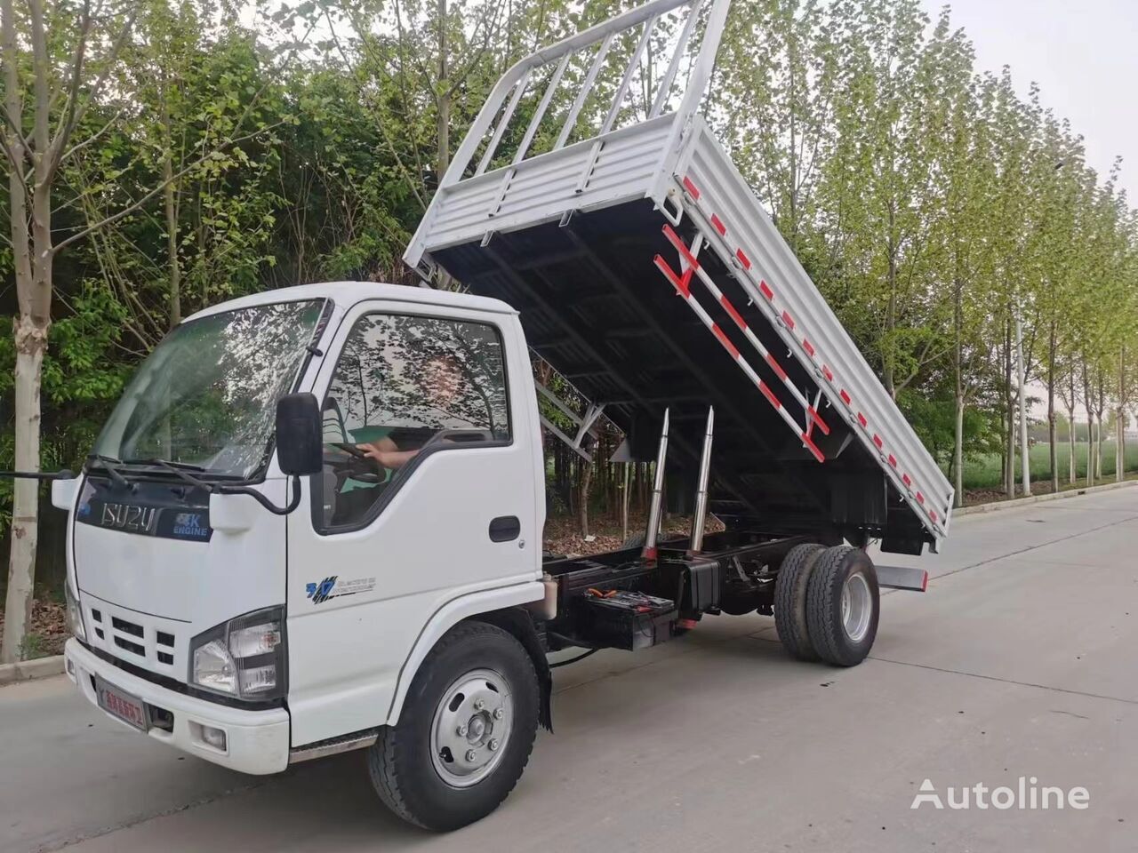 Camião basculante ISUZU 4X2 drive Japanese light tipper truck dumper: foto 5