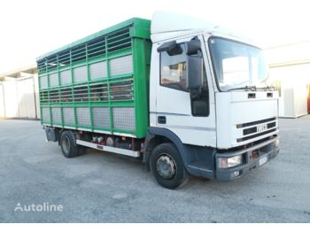 Camião transporte de gado IVECO Eurocargo 80E18: foto 1
