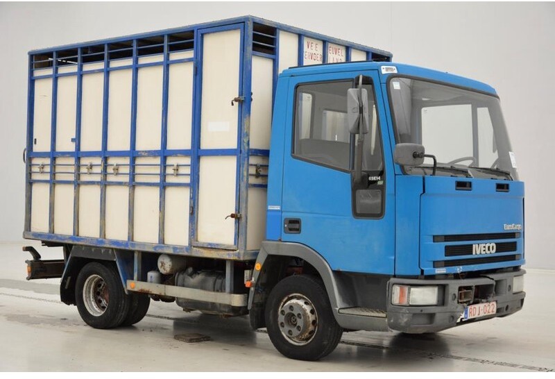 Camião transporte de gado Iveco 65E14: foto 3