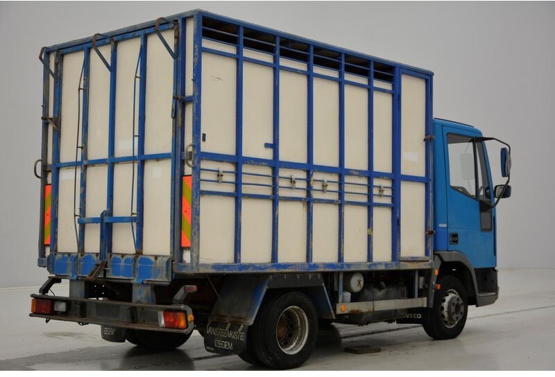 Camião transporte de gado Iveco 65E14: foto 6