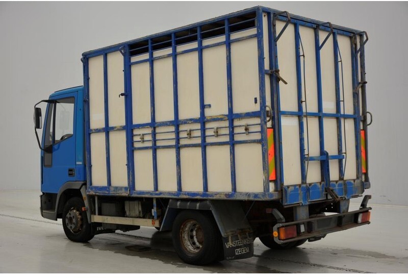 Camião transporte de gado Iveco 65E14: foto 8