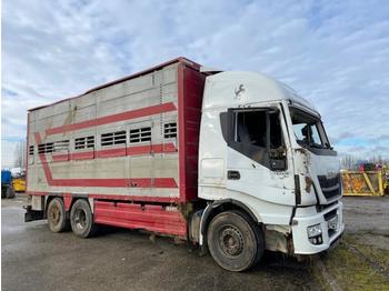 Camião transporte de gado Iveco Stralis: foto 1