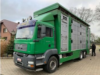 Camião transporte de gado MAN 26.350 LX Finkl 3 Stock Hubdach Lift: foto 1