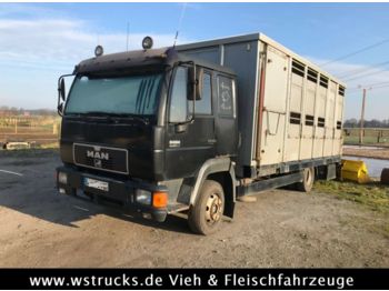 Camião transporte de gado para transporte de animais MAN 8.224 mit Enstock Alu: foto 1