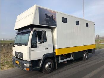 Camião de transporte de cavalos MAN LE8-180: foto 1