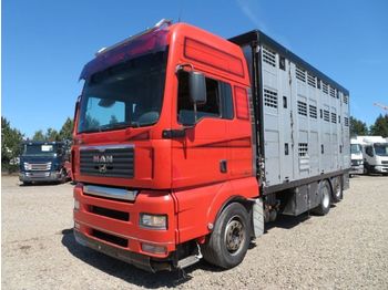 Camião transporte de gado MAN TGA 26.480 6x2 Menke 3 Stock: foto 1