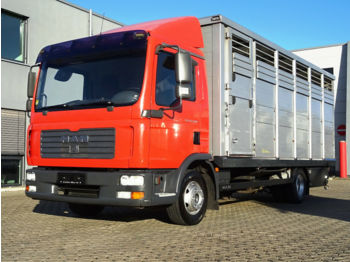 Camião transporte de gado MAN TGL 12.240/  Manual / Euro 3: foto 1
