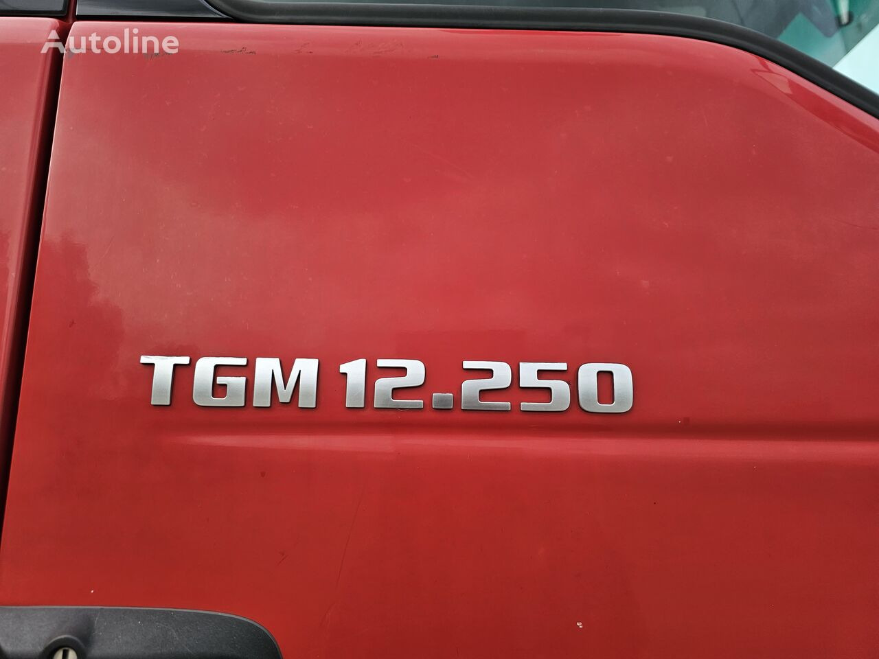 Camião frigorífico MAN TGM 12.250: foto 8