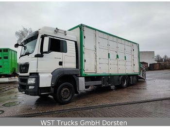 Camião transporte de gado MAN TGX 18.480 LX Menke 2 Stock Vollalu: foto 1