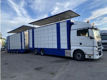 Camião transporte de gado MAN TGX 26.480 6X2 EURO 6 - LIVESTOCK + MOVING FLOOR: foto 1