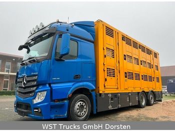 Camião transporte de gado Mercedes-Benz Actros 2545  6x2 Menke 3 Stock Vollalu: foto 1