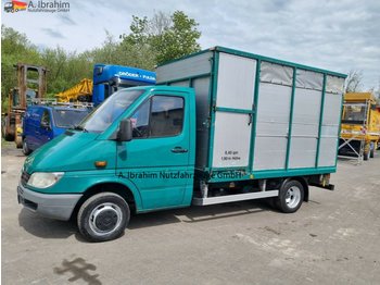 Camião transporte de gado Mercedes-Benz DB 411, Sauensammelwagen, 6,4 qm,sauber: foto 1