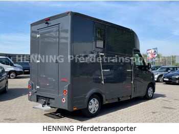 Camião de transporte de cavalos, Veículo comercial Renault Master 3 - Sitzer *KURZ*: foto 5