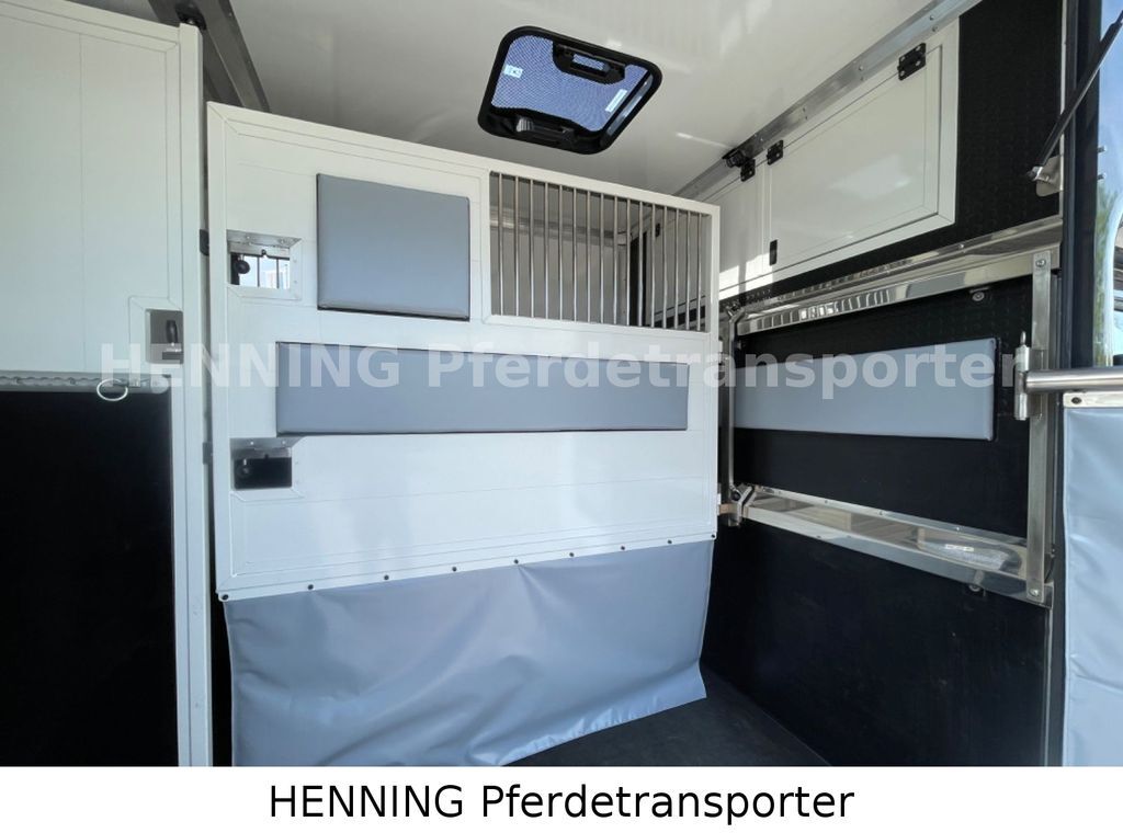 Camião de transporte de cavalos, Veículo comercial Renault Master 3 - Sitzer *KURZ*: foto 9