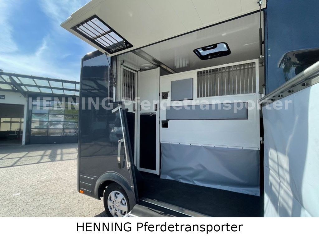 Camião de transporte de cavalos, Veículo comercial Renault Master 3 - Sitzer *KURZ*: foto 8