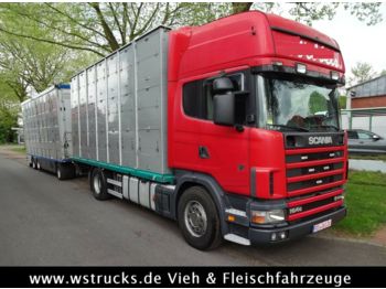 Camião transporte de gado Scania 164/580  Topline 2 Stock    V8: foto 1