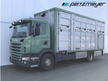 Camião transporte de gado Scania G 360 Viehwagen Doppelstock Kaba: foto 1