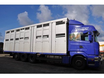 Camião transporte de gado Scania R480LB8X4*4HNB: foto 1