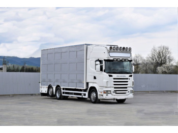 Camião transporte de gado Scania R 500: foto 1