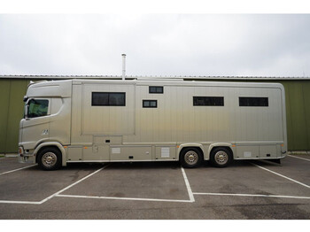 Camião de transporte de cavalos Scania S500 6X2 HORSE TRANSPORT TRUCK: foto 1