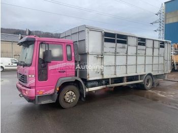 Camião transporte de gado VOLVO FL6H-250: foto 1