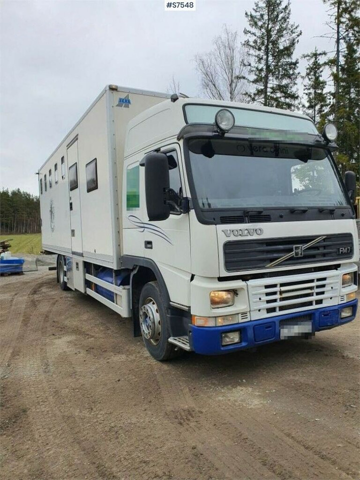 Camião transporte de gado Volvo FM7: foto 14