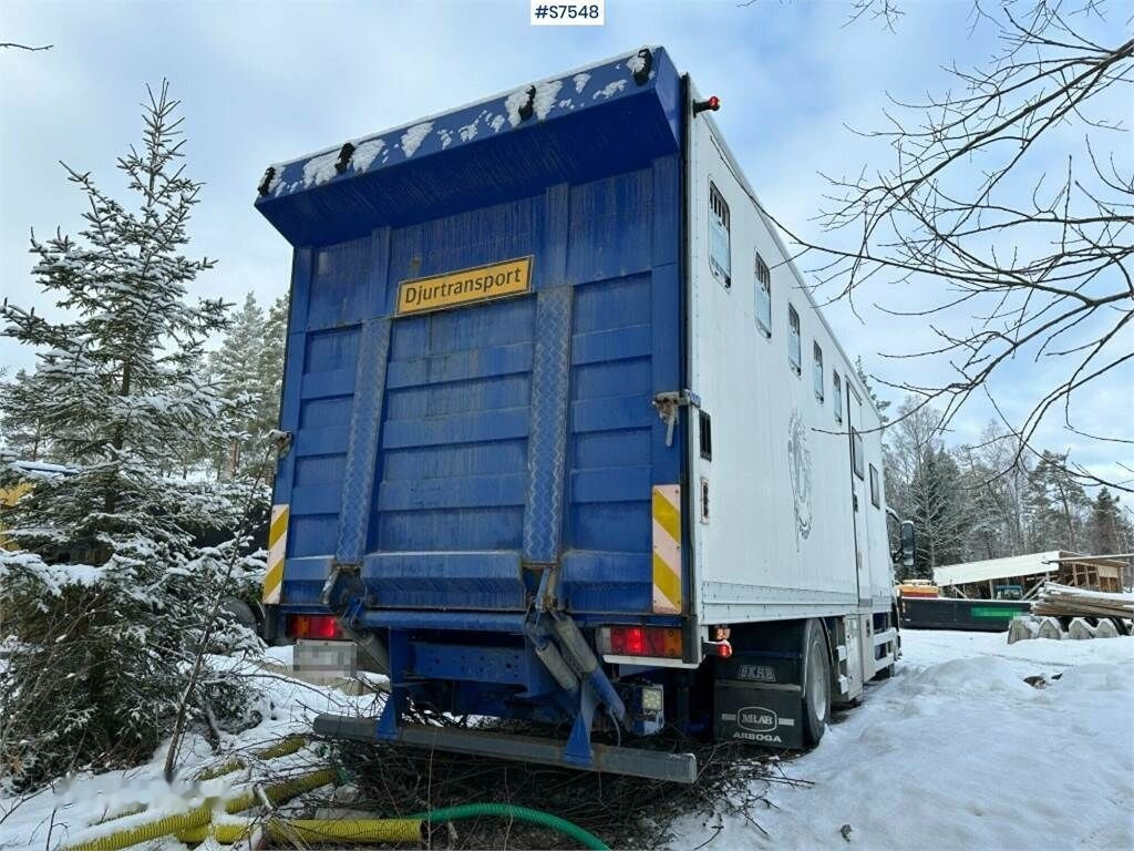 Camião transporte de gado Volvo FM7: foto 31