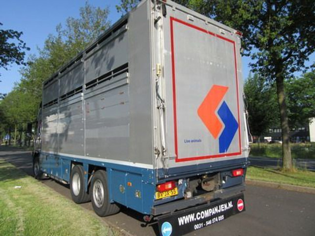 Camião transporte de gado Volvo FM 9: foto 17