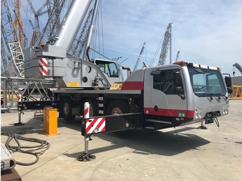 Grua móvel TEREX-DEMAG Challenger C3160