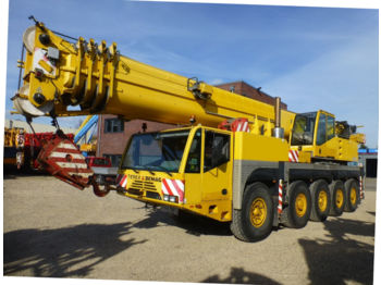 Guindaste todo-terreno Terex-Demag AC 100
