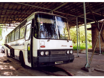 IKARUS 250.59 - Autocarro