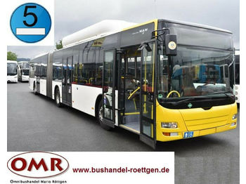 Ônibus urbano MAN A 23 / O 530 G / CNG / EEV / Klima /org. KM: foto 1