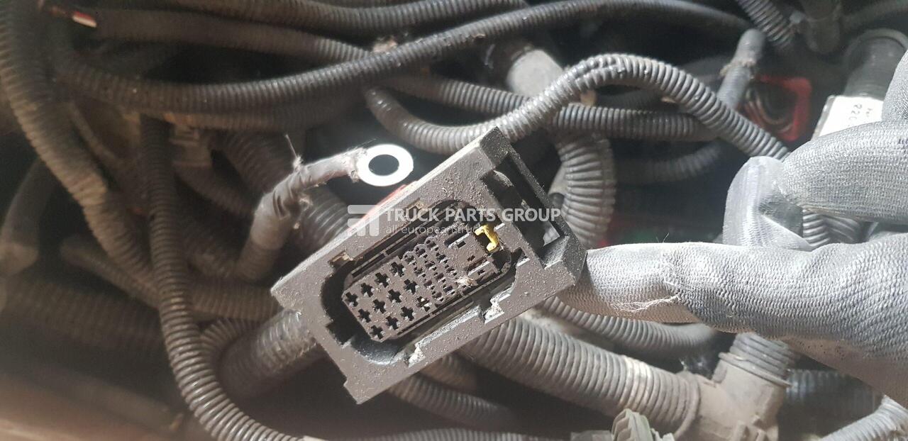 Cables/ Wire harness para Camião VOLVO FH4 euro6, RENAULT RAGE / GAMA cable harness, connectors, electric lines, electric cables FCIOM ,CCIOM, RCIOM 22046285, 21675272, 21675276, 21675305, 21675306, 21914997, 22163864, 21120361, 2230: foto 6