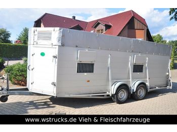 Reboque transporte de gado Blomert Einstock Vollalu 5,70 m: foto 1