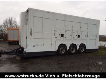 Reboque transporte de gado Menke Tridem Doppelstock: foto 1