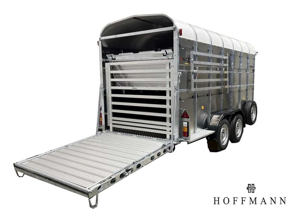 Reboque transporte de gado novo NUGENT Nugent Doppeldeck Schaf &  Viehanhänger  L4318H-H-SD: foto 3