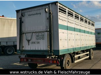 Westrick Viehanhänger 1Stock, trommelbremse  - Reboque transporte de gado