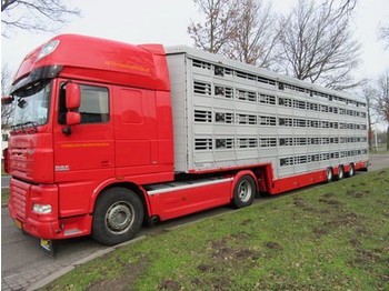 Semi-reboque transporte de gado novo Pezzaioli SBA**: foto 1
