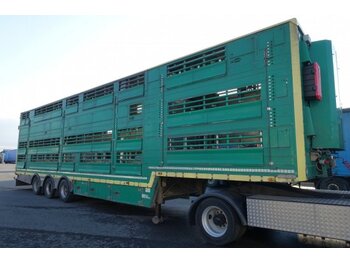 Semi-reboque transporte de gado Pezzaioli SBA32/U, 3 Stock , Viehtransporter  , Tränkeranlage,: foto 1